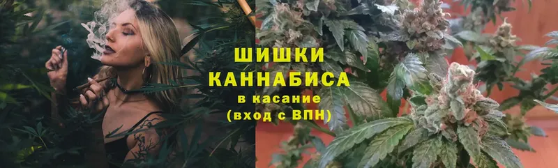 Каннабис OG Kush  Холмск 